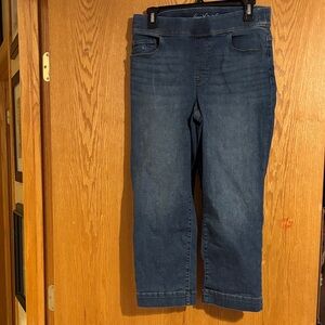 Gloria Vanderbilt, Women’s Amanda capris, Size 6